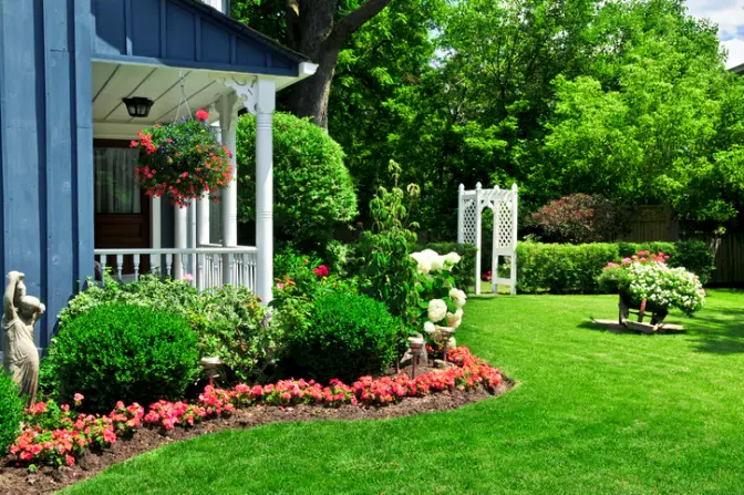 Choosing The Right Plants For Residential Landscaping Fresno CA Choosing The Right Plants For Residential Landscaping Fresno CA