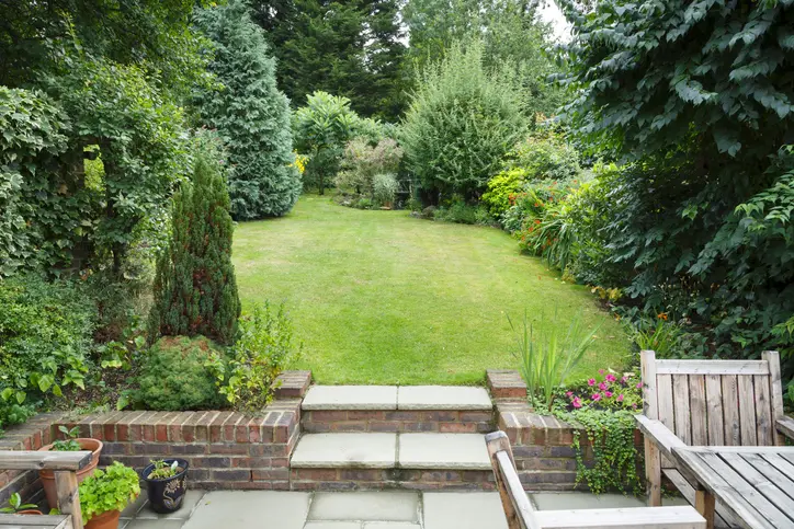 Choosing The Right Plants For Residential Landscaping in Fresno CA Choosing The Right Plants For Residential Landscaping in Fresno CA