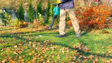 Excellent Yard Cleanup Fresno CA Excellent Yard Cleanup Fresno CA