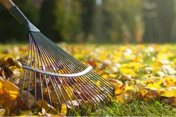 Experienced Yard Cleanup Fresno CA Experienced Yard Cleanup Fresno CA