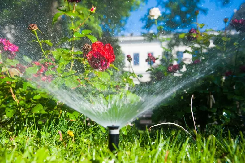 Reliable Sprinkler Installation Fresno CA Reliable Sprinkler Installation Fresno CA