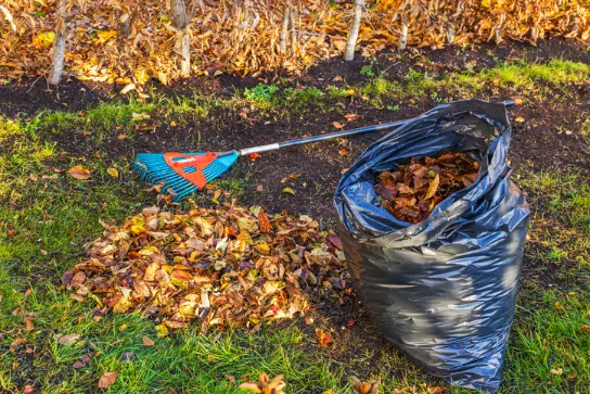 What To Expect During A Professional Yard Cleanup Service Fresno CA What To Expect During A Professional Yard Cleanup Service Fresno CA